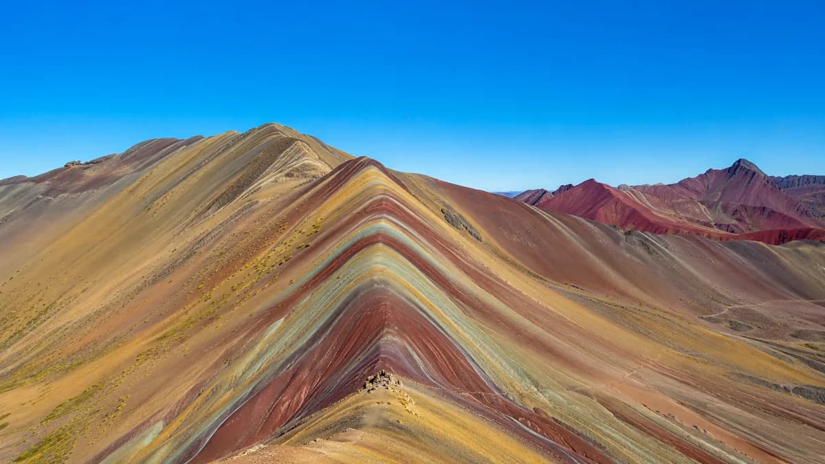 La mejor época para contemplar sus colores deslumbrantes